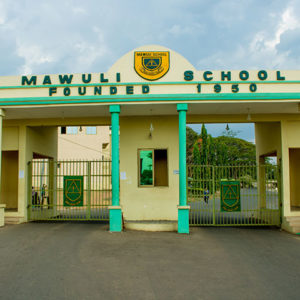 mawuli-population